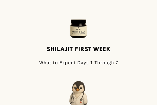 Shilajit First Week: What to Expect Days 1 Through 7