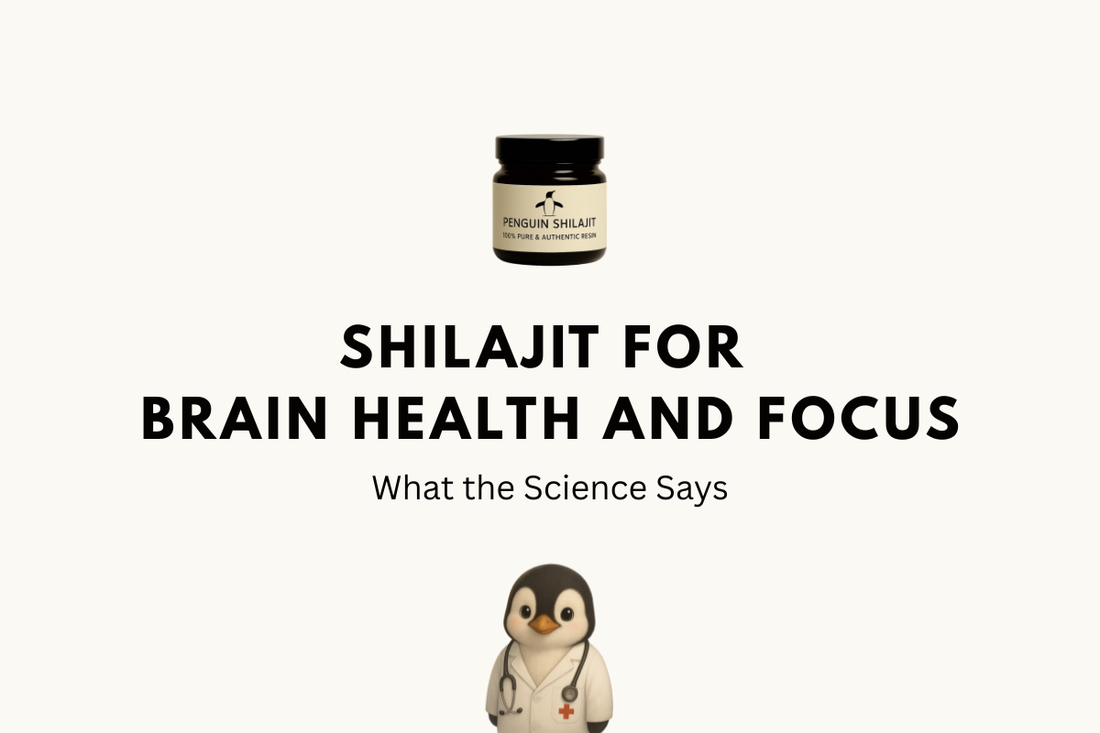 Shilajit for Brain Health and Focus: What the Science Says