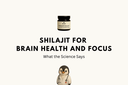 Shilajit for Brain Health and Focus: What the Science Says