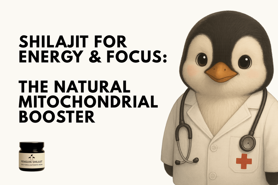 Shilajit for Energy & Focus: The Natural Mitochondrial Booster - Penguin Shilajit