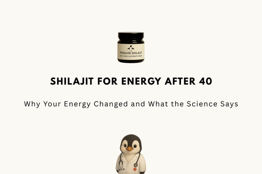 Shilajit for Energy After 40: Why Your Energy Changed and What the Science Says