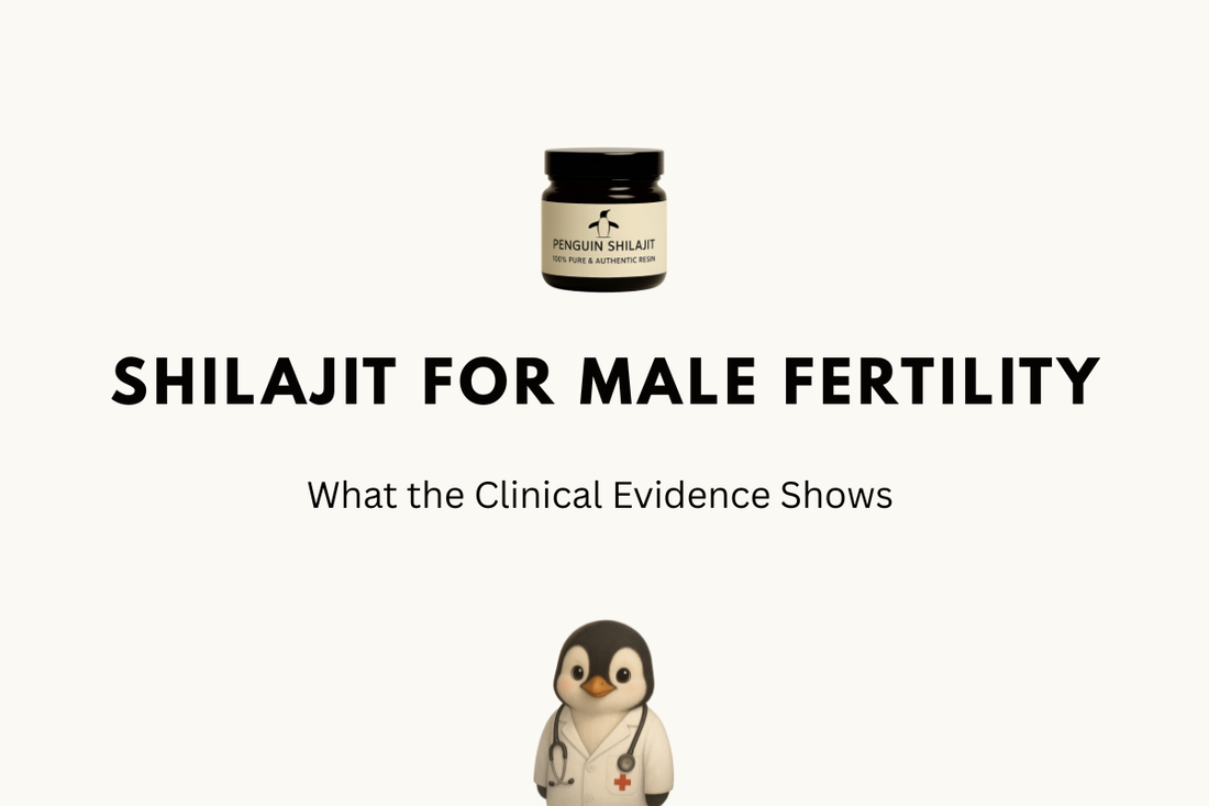 Shilajit for Male Fertility: What the Clinical Evidence Shows