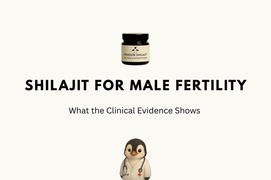 Shilajit for Male Fertility: What the Clinical Evidence Shows