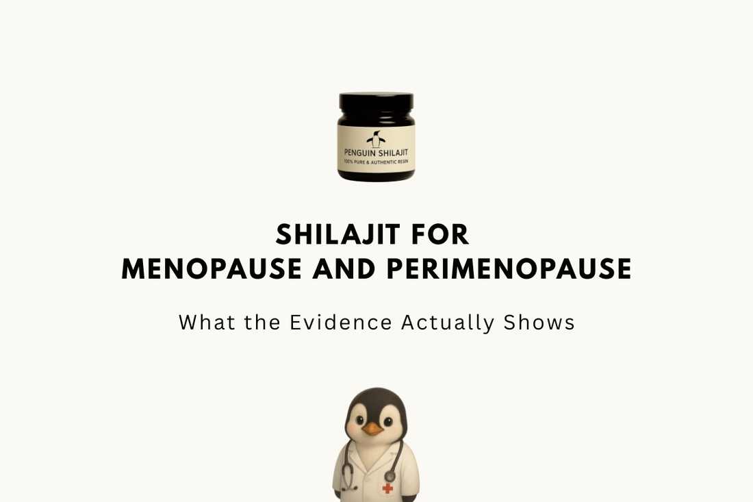 Shilajit for Menopause and Perimenopause: What the Evidence Actually Shows (USA 2026)