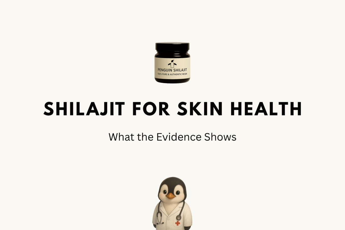 Shilajit for Skin Health: What the Evidence Shows