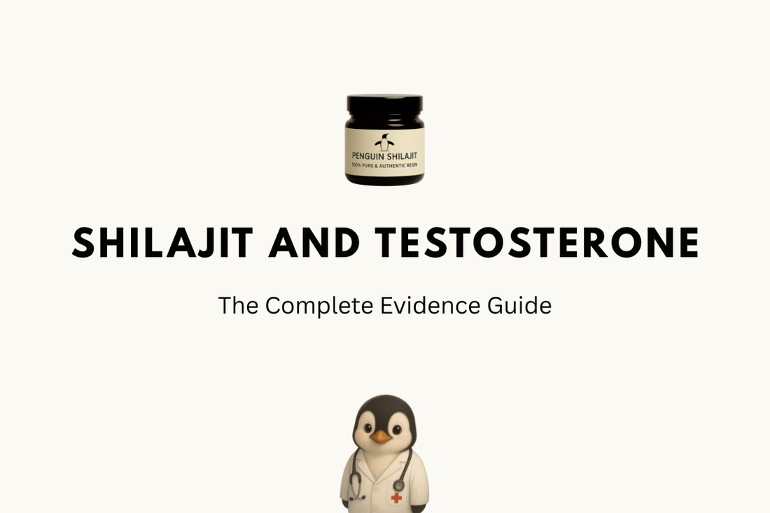 Shilajit and Testosterone: The Complete Evidence Guide