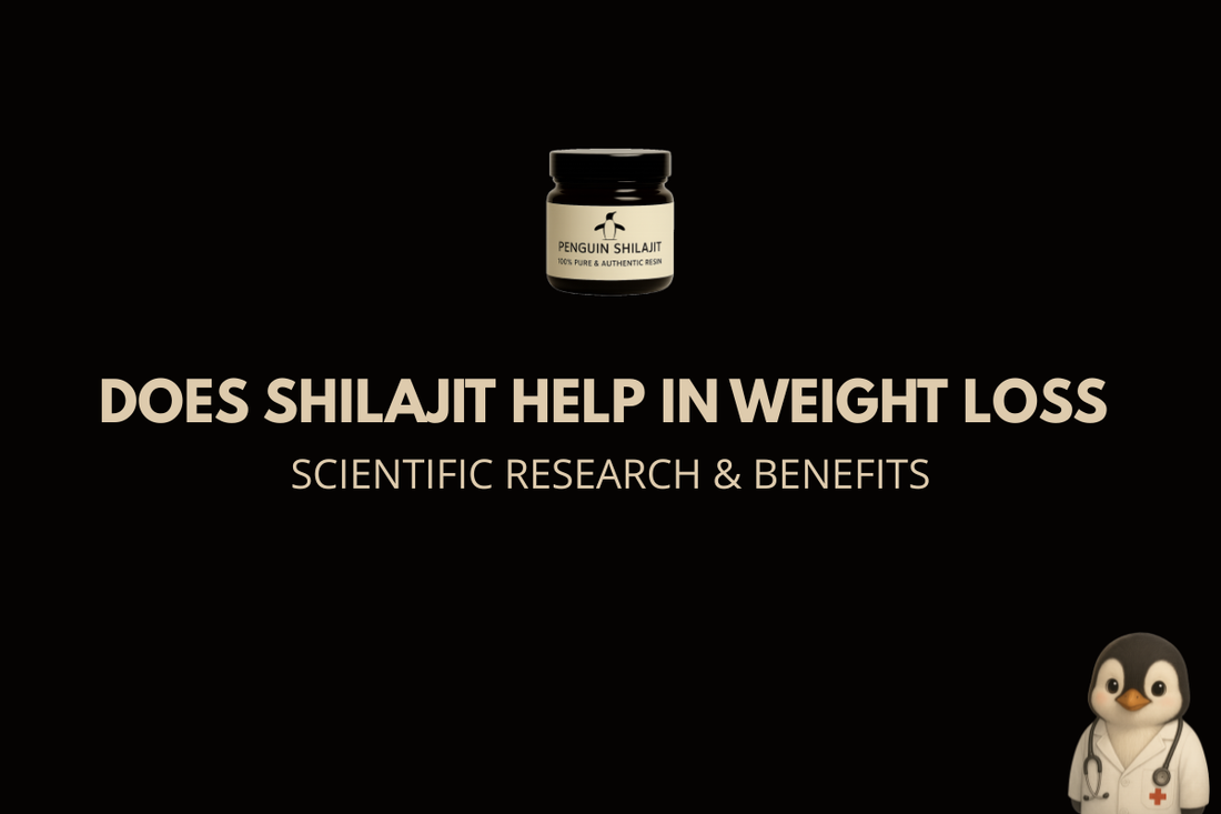 Pure Himalayan Shilajit resin in jar – natural supplement that may support weight loss and metabolism