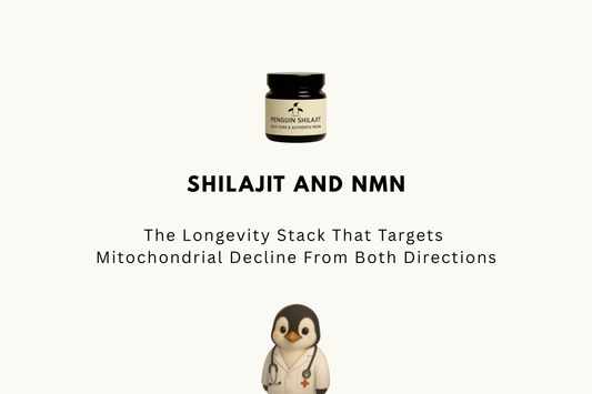 Shilajit and NMN: The Longevity Stack That Targets Mitochondrial Decline From Both Directions