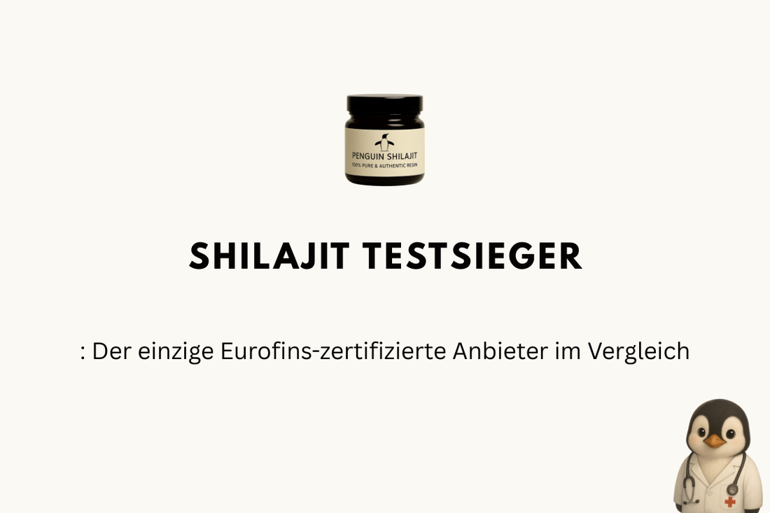 Shilajit Testsieger 2026: Der einzige Eurofins-zertifizierte Anbieter im Vergleich