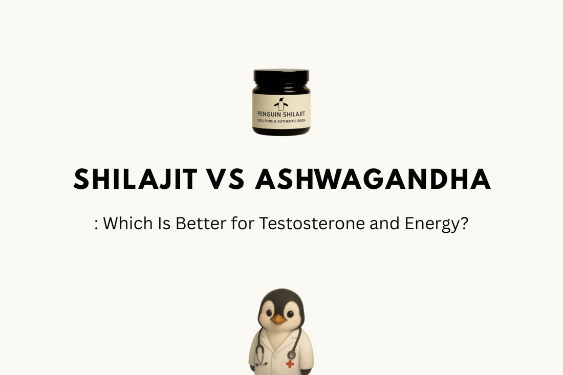 Shilajit vs Ashwagandha: Which Is Better for Testosterone and Energy? (USA 2026)