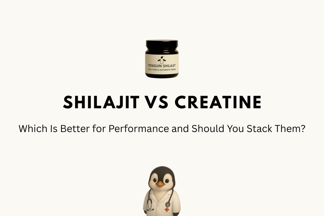 Shilajit vs Creatine: Which Is Better for Performance and Should You Stack Them?