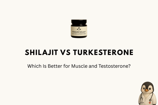 Shilajit vs Turkesterone: Which Is Better for Muscle and Testosterone?