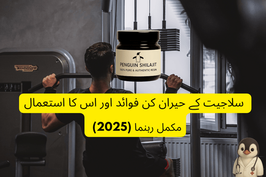 سلاجیت کے حیران کن فوائد اور اس کا استعمال – مکمل رہنما (2025) - Penguin Shilajit