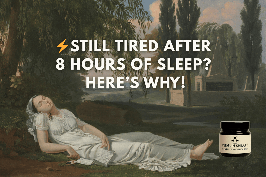 Still Tired After 8 Hours of Sleep? The Real Reason Behind Low Energy (and How Shilajit Helps) - Penguin Shilajit