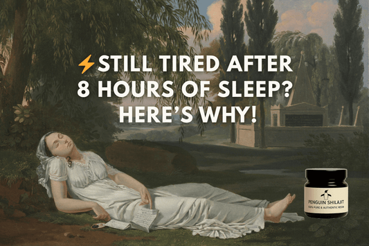 Still Tired After 8 Hours of Sleep? The Real Reason Behind Low Energy (and How Shilajit Helps) - Penguin Shilajit