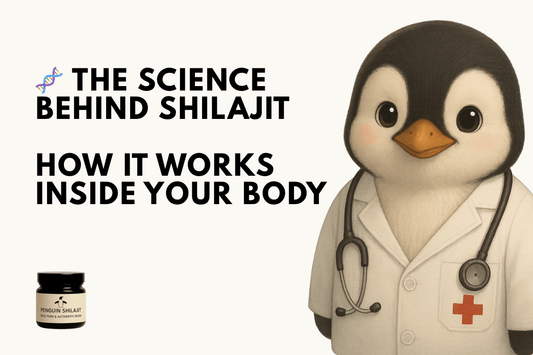 The Science Behind Shilajit: How It Works Inside Your Body - Penguin Shilajit