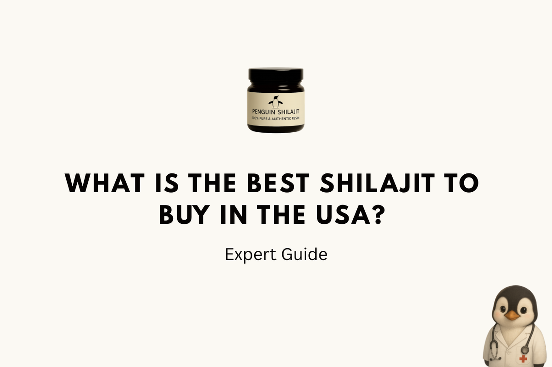 What Is the Best Shilajit to Buy in the USA? (2026 Expert Guide)