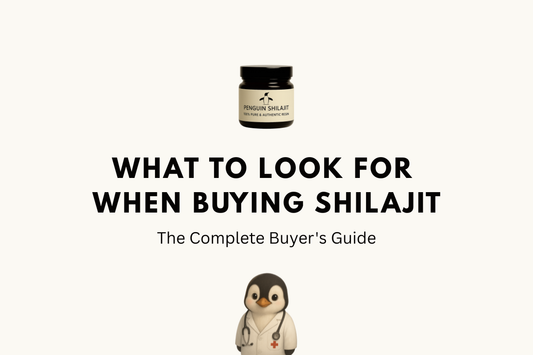 What to Look for When Buying Shilajit: The Complete Buyer's Guide (USA 2026)
