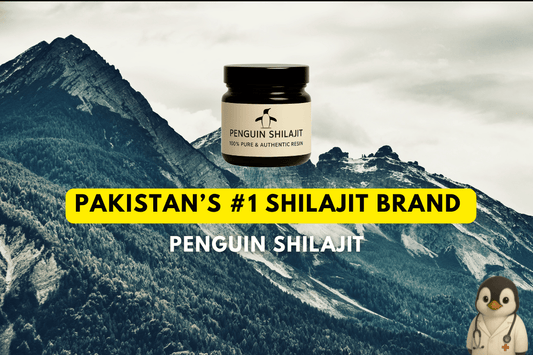 Why Penguin Shilajit Is Pakistan’s Best Shilajit (2025 Review) - Penguin Shilajit
