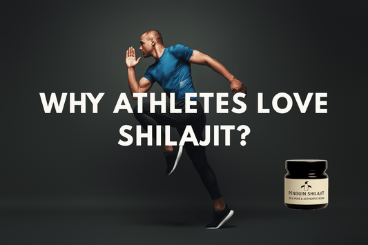 🏔️ Why Shilajit Is So Popular Among Athletes (And How It Actually Works) - Penguin Shilajit